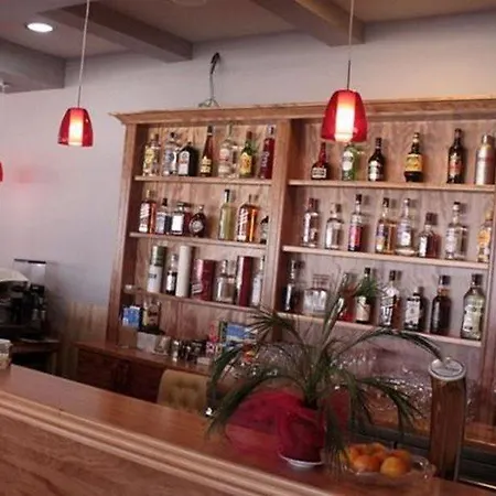 酒店 奥雷里斯酒店 4*